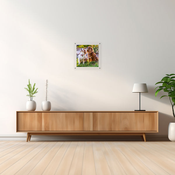 16 x 16 Floating Frame